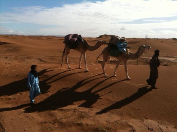 You are currently viewing La magie du Sahara – 3 jours de trek dans le désert Marocain – Boucle M&rsquo;Hamid / M&rsquo;Hamid