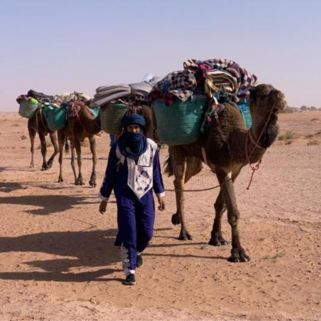 Lire la suite à propos de l’article Venez vivre 5 jours magiques dans le désert marocain. Excursion facile accessible à tous.