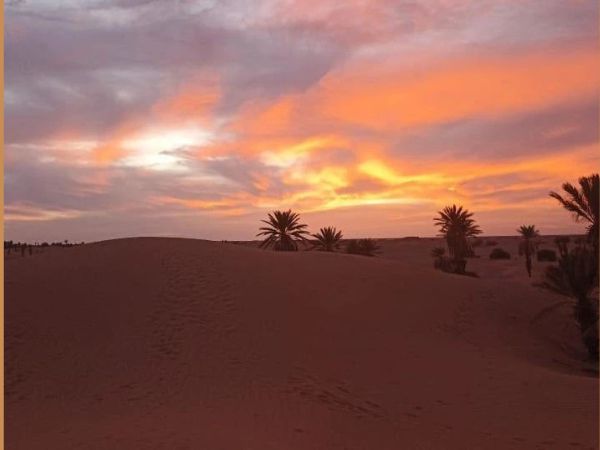 Lire la suite à propos de l’article Circuit 3 jours dans le désert  Marrakech – Erg Chegaga – Marrakech – en 4X4 et balade à dos de dromadaires