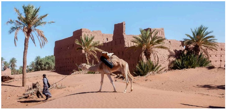 Lire la suite à propos de l’article Voyage désert Maroc 3 jours en 4X4 et dromadaire
