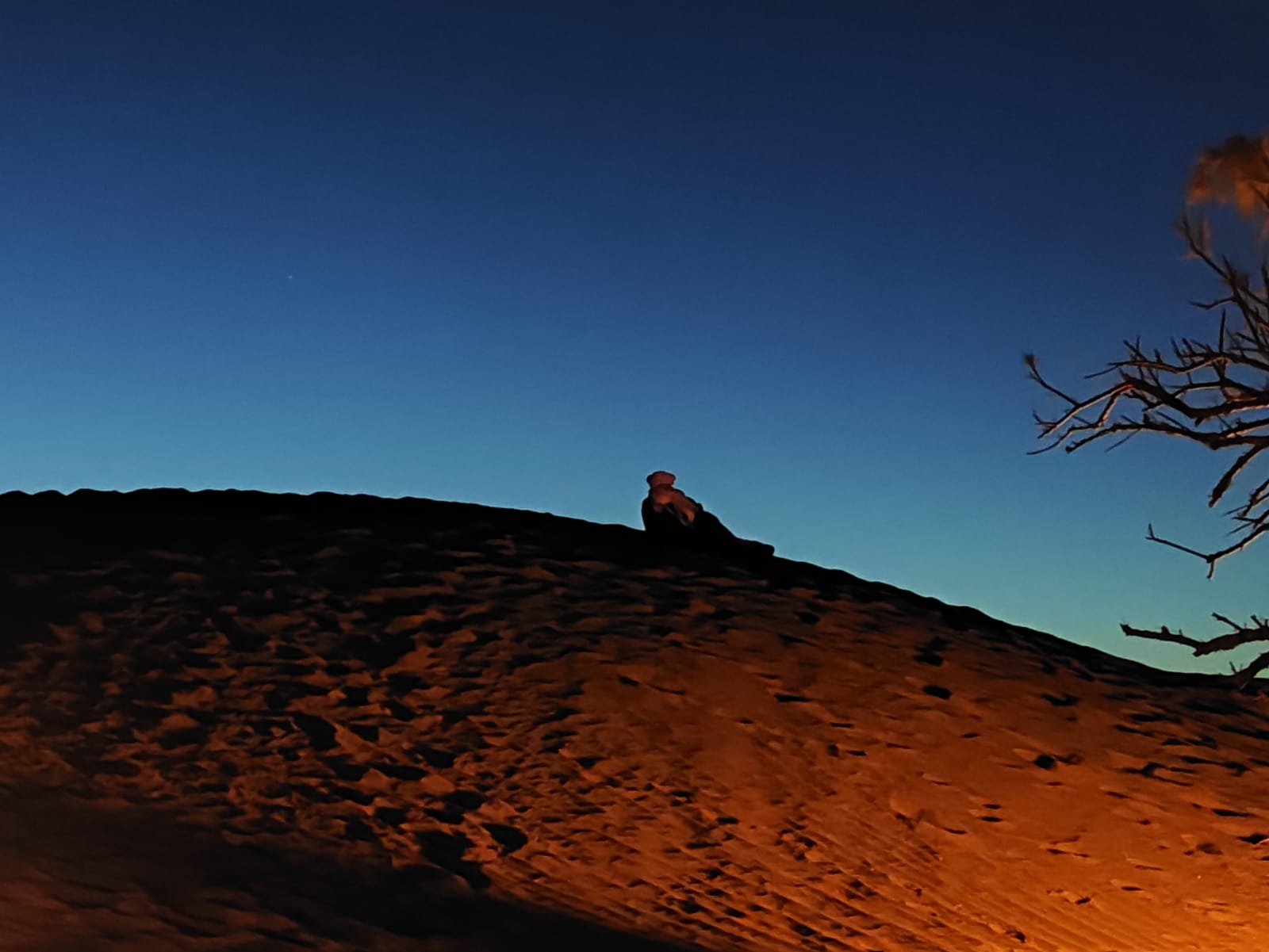 You are currently viewing La Perle du Sahara – 4 jours de Randonnée dans le désert Marocain. Dromadaires + 4×4 – M&rsquo;Hamid – Erg Chegaga- M&rsquo;Hamid .
